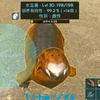 手机版方舟水龙兽怎么加成方舟生存进化手机版前期驯服什么龙好