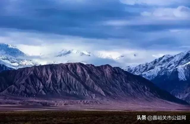 搜狐新闻客户端甘肃央视新闻客户端甘肃总站