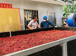 花椒客户端卸载花椒客户端怎么打开